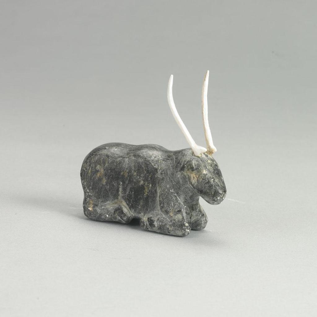 Gibson Kiua - Caribou