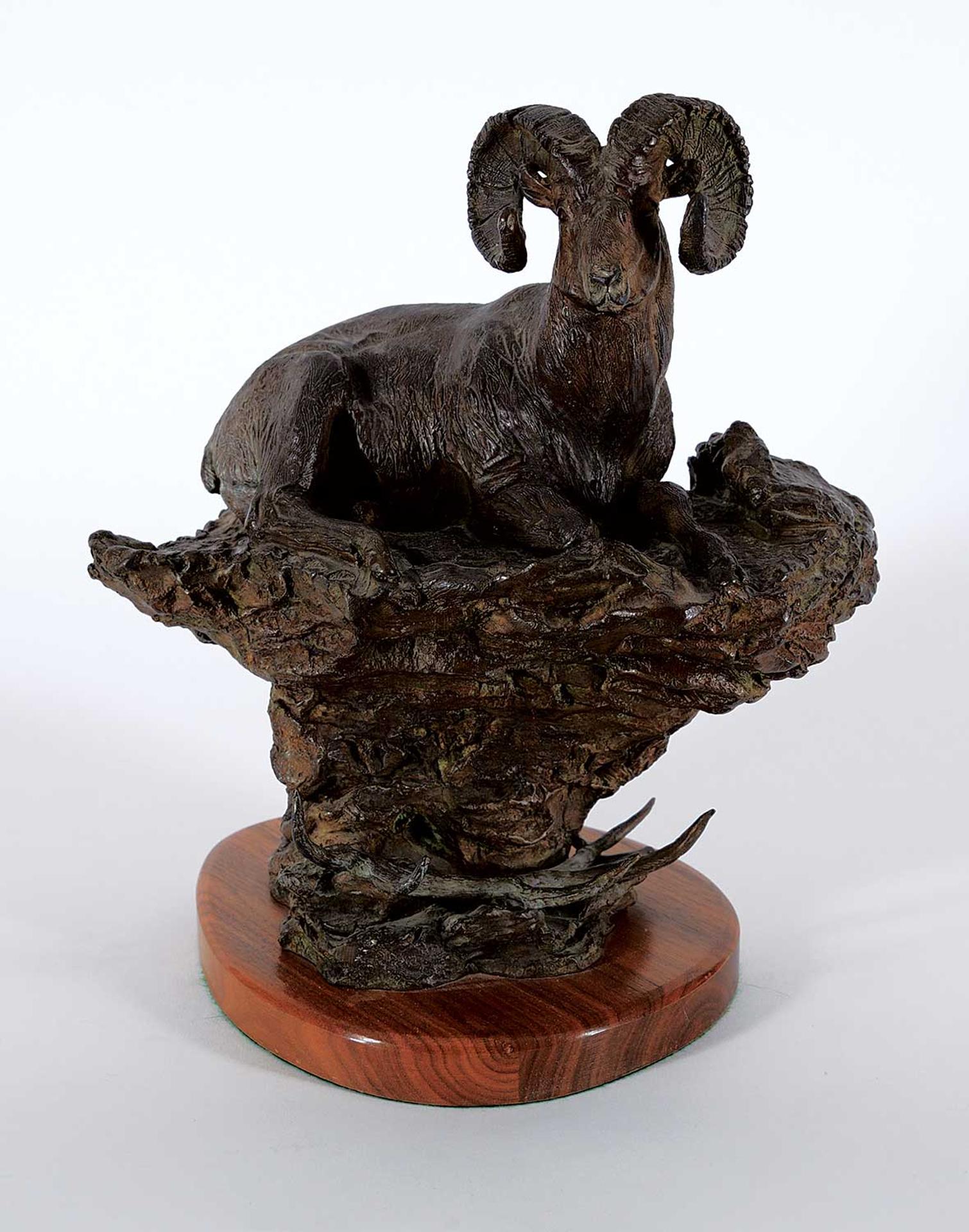 Ben France - Wapiti Ridge #7/50