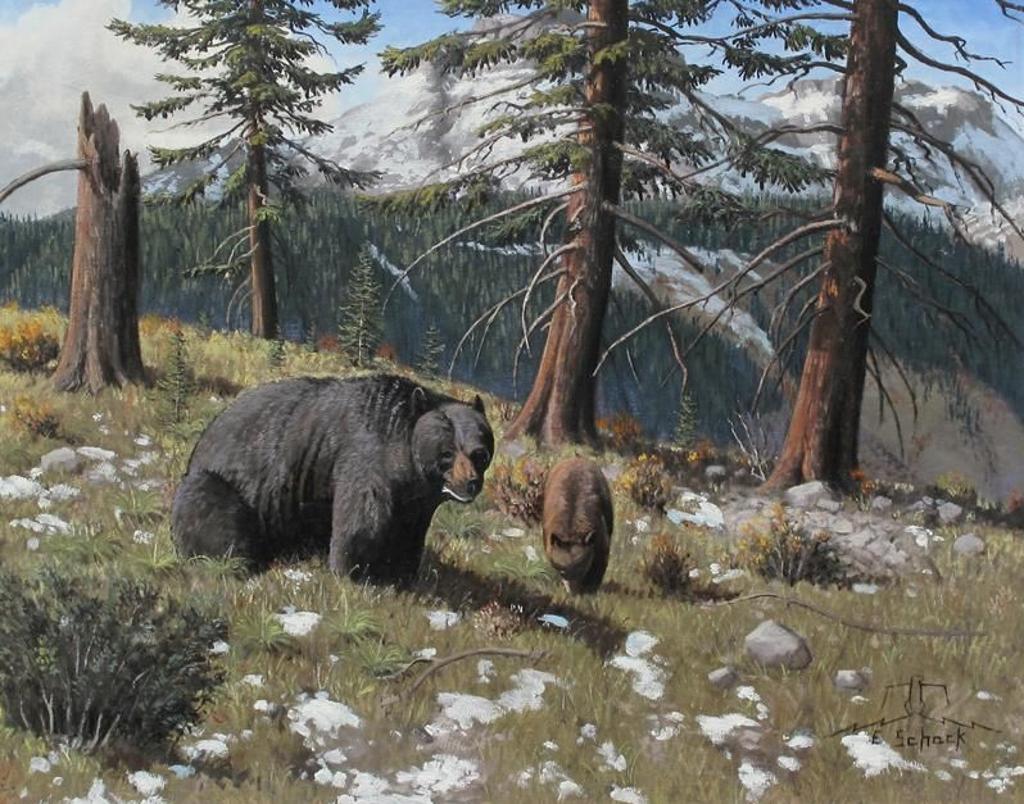 Elmer Schock (1970) - Black Bear And Cub