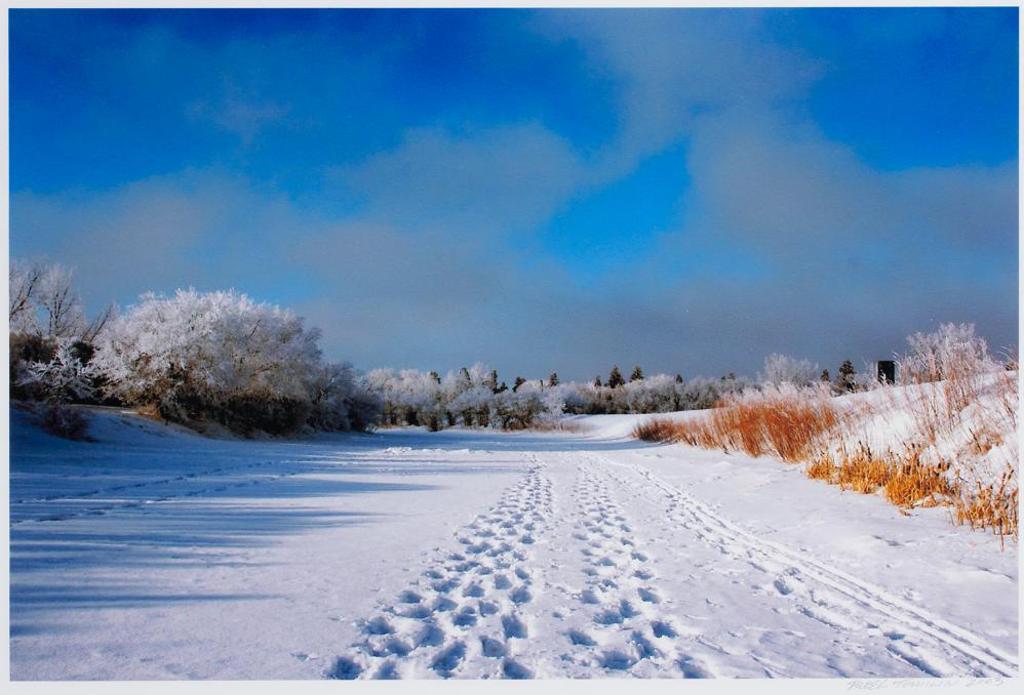 Derek Tomilin - Snow Track