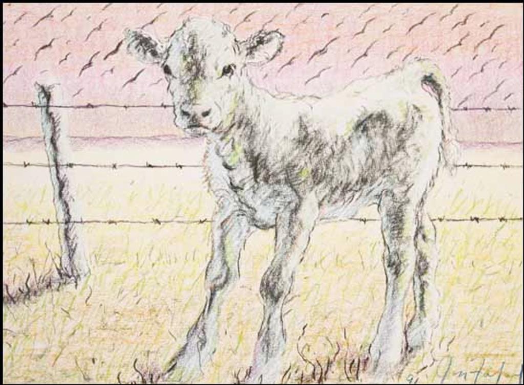 Joseph Hector Yvonne (Joe) Fafard (1942-2019) - Barb