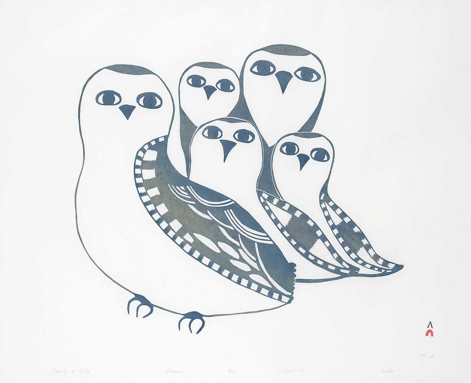 Pudlat (1923) - Family of Owls  #48/50
