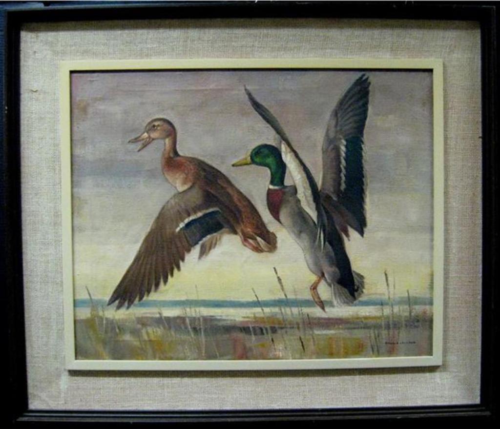 Ronald Threlkeid Jackson (1902-1992) - Mallards