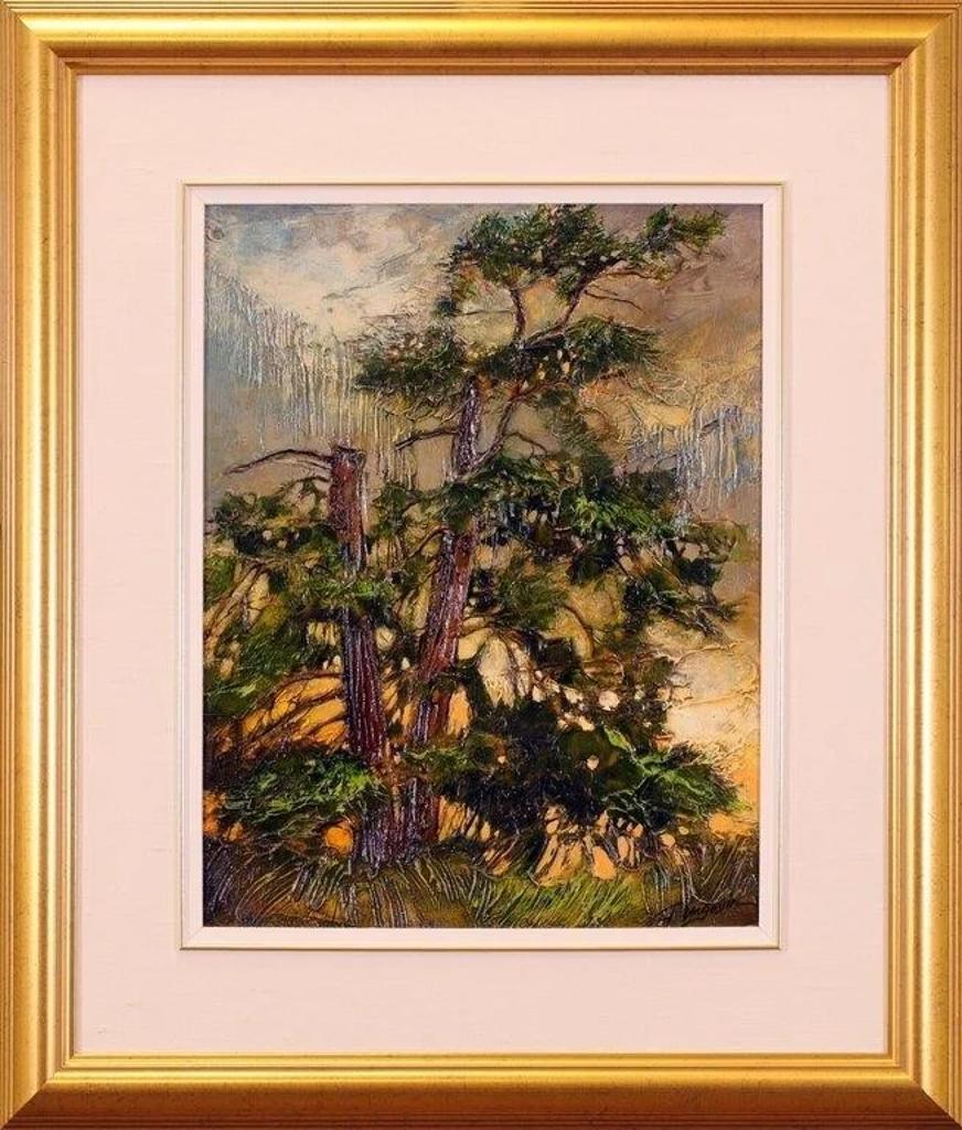 David Langevin (1959) - Fire + Rain; 1999