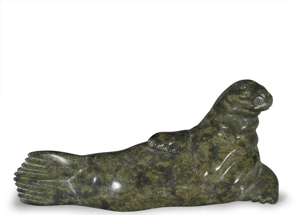 Tani - Lying Seal