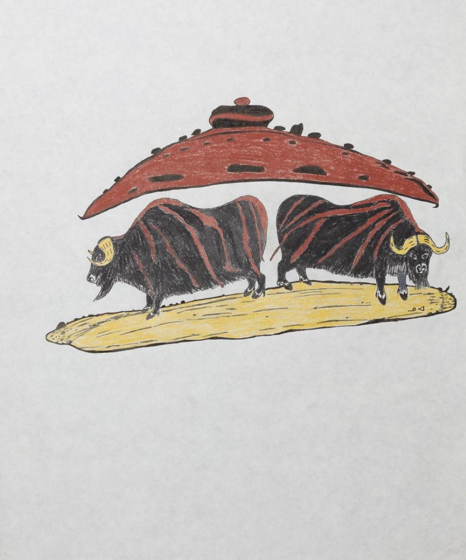 Martha Noah (1943) - Musk Ox