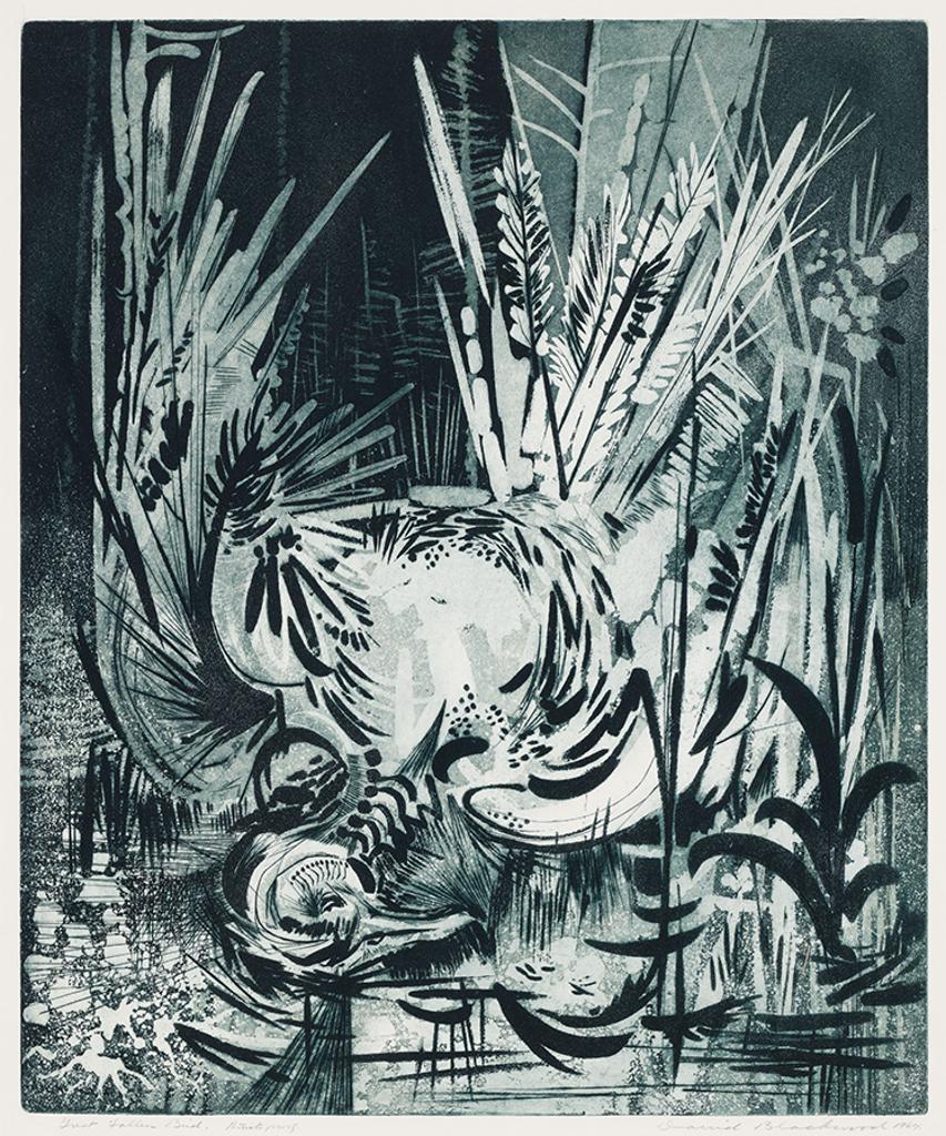 David Lloyd Blackwood (1941-2022) - Great Fallen Bird