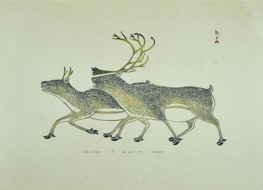 Kananginak Pootoogook (1935-2010) - Tuktu Of Tasikjuk