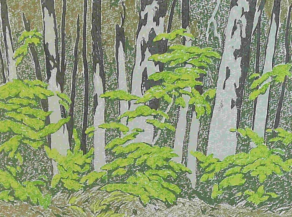 Alfred Joseph (A.J.) Casson (1898-1992) - Forest Edge