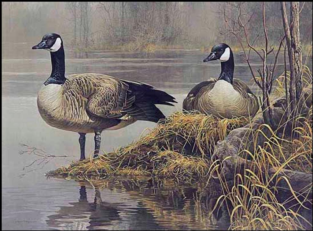 Robert Mclellan Bateman (1930-1922) - Canada Geese (01024/2013-1899)
