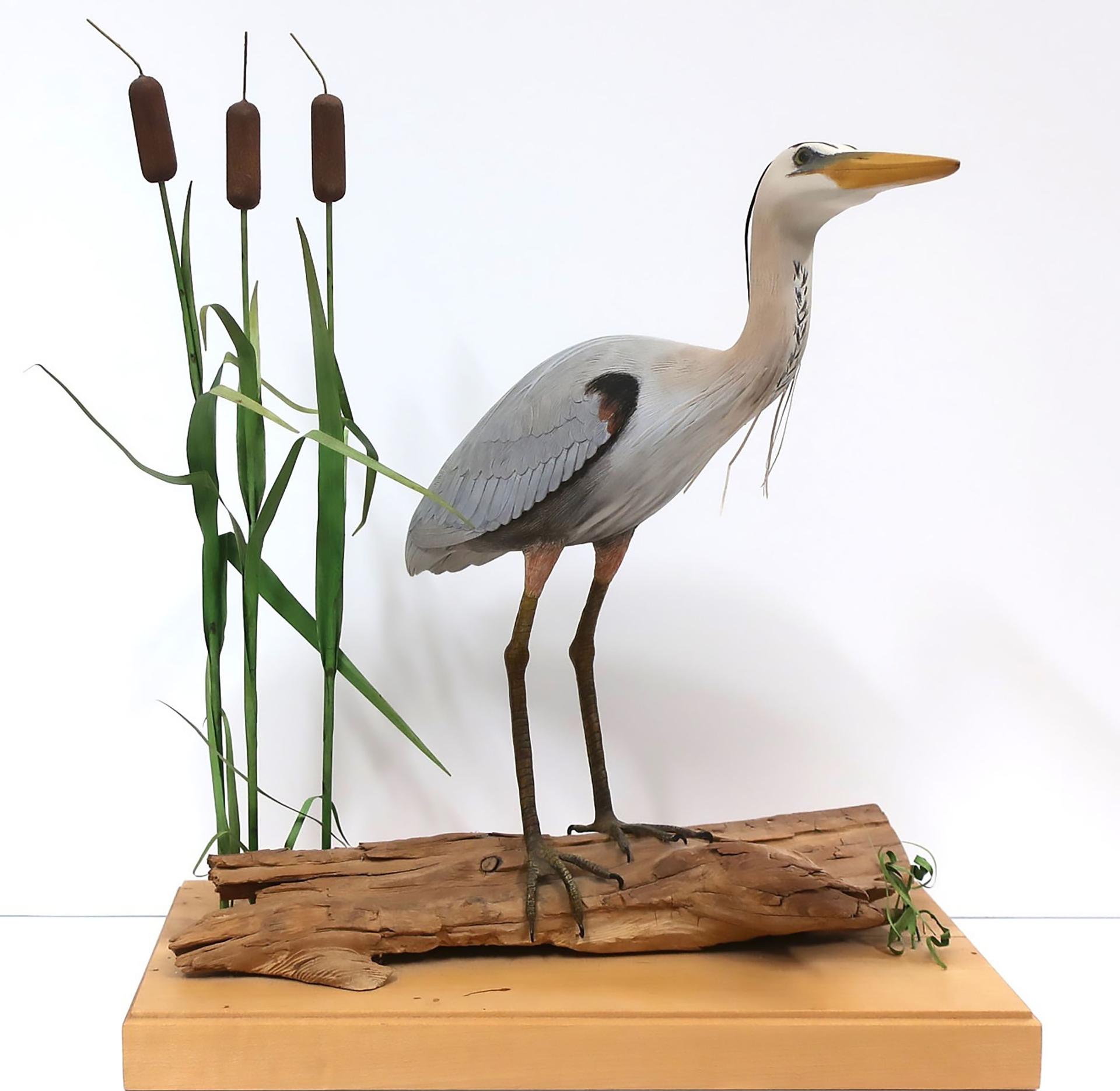 Robert Jenner - Crane And Bullrushes