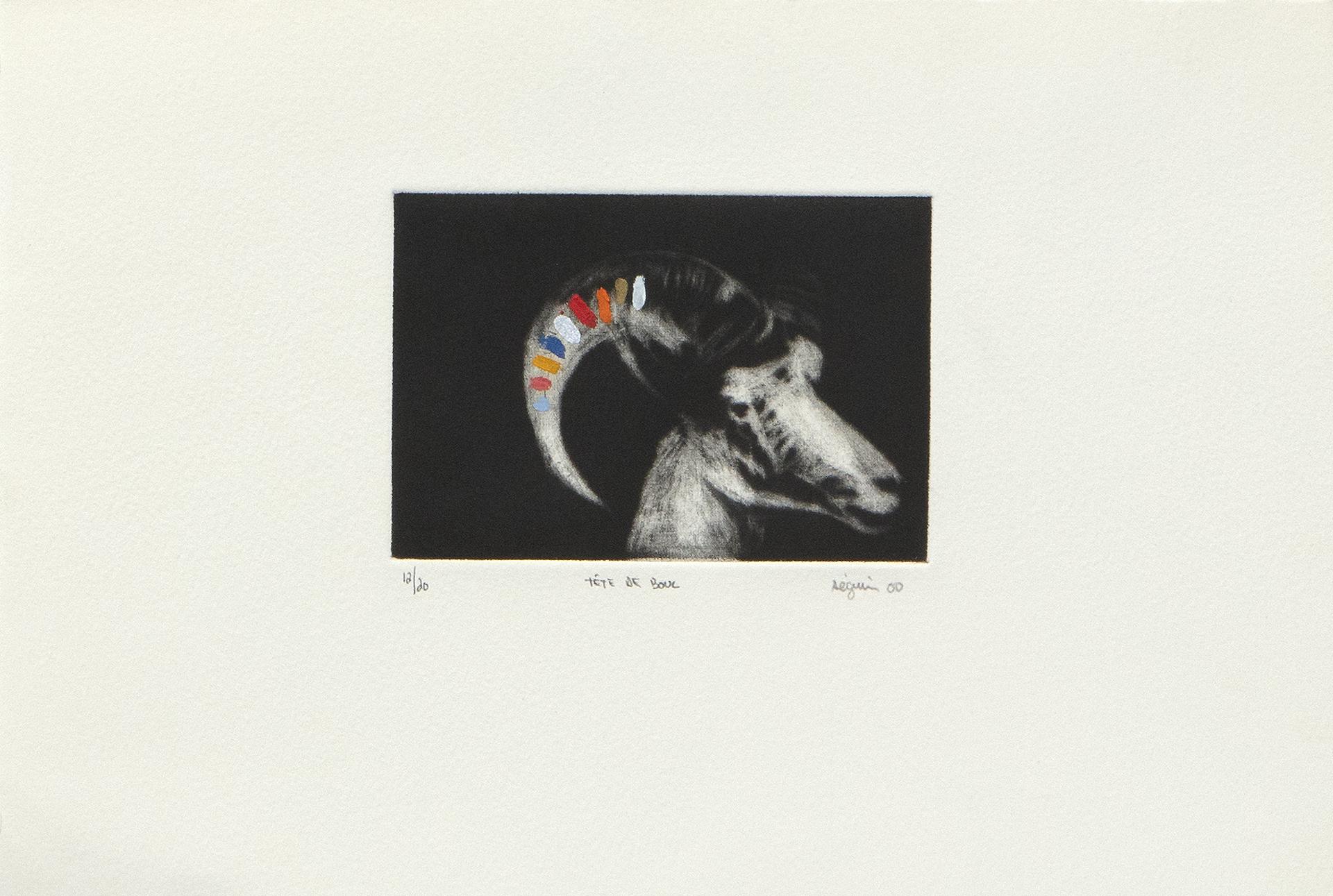 Marc Séguin (1970) - Tête de Bouc , 2000