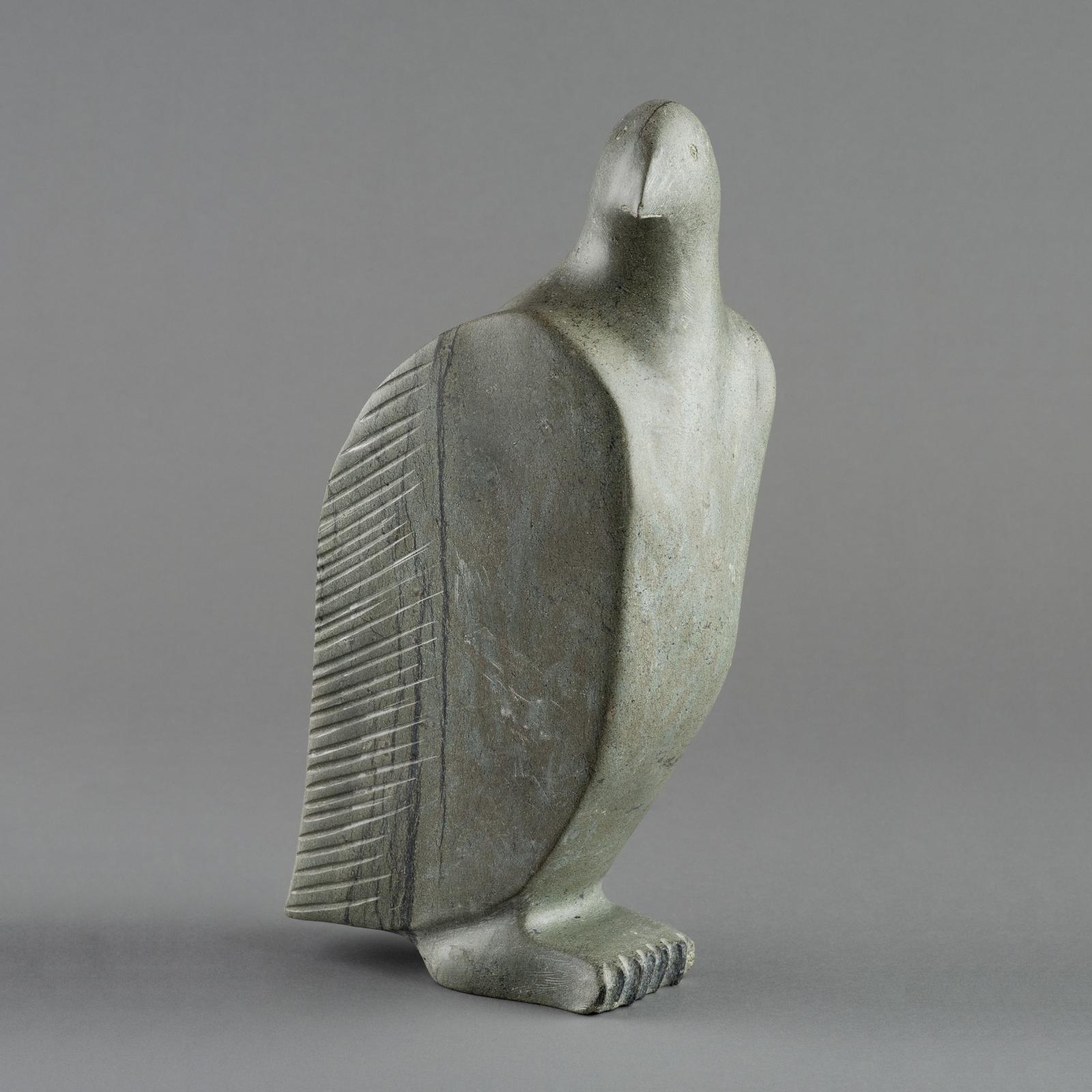 S. Salla - Bird