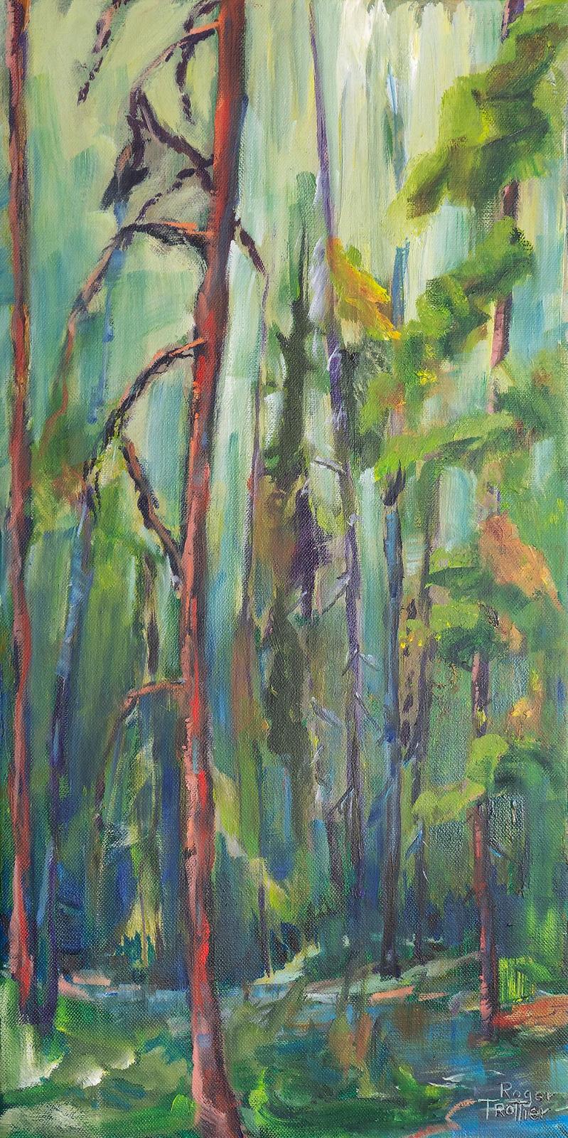 Roger Trottier - Black Spruce Path