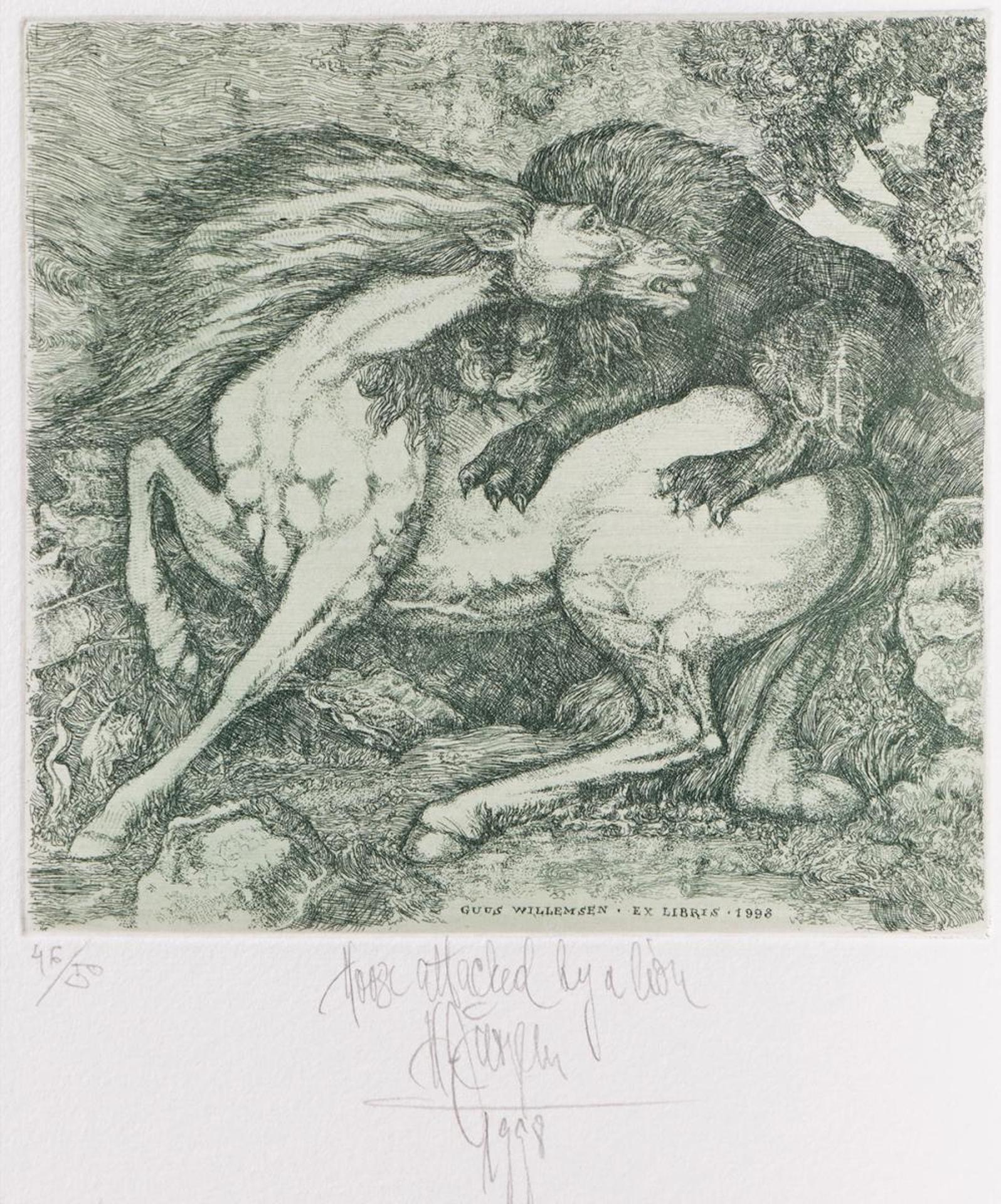 Harry Jurgens (1949) - Horse Attacked By a Lion