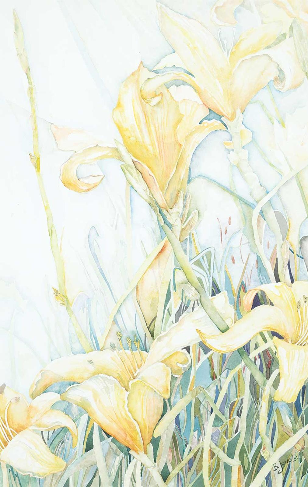 Bev Juno - Fields of Delight