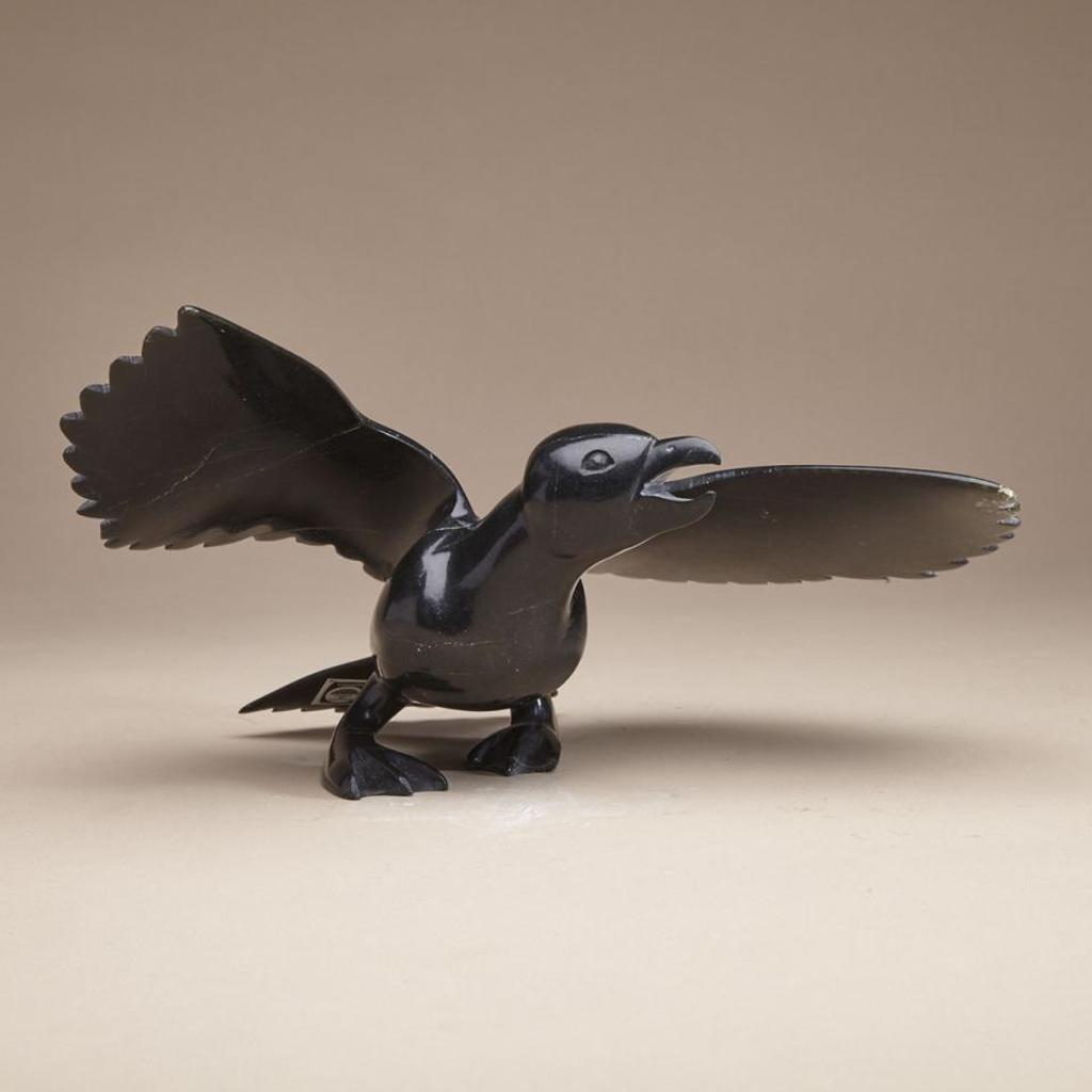Napachie Sharky (1971-2018) - Alighting Bird