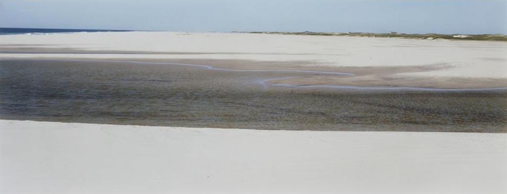 Thaddeus Holownia (1949) - Sable Island, 1985-1994 #1