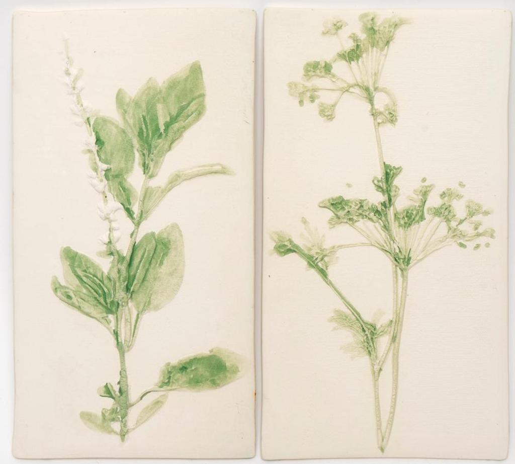 Susan Robertson - Dill and Basil