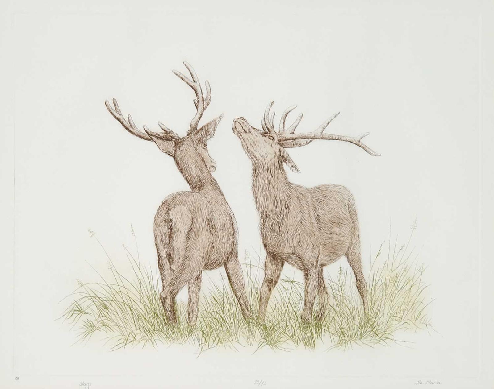 Ila Marie - Stags #23/75