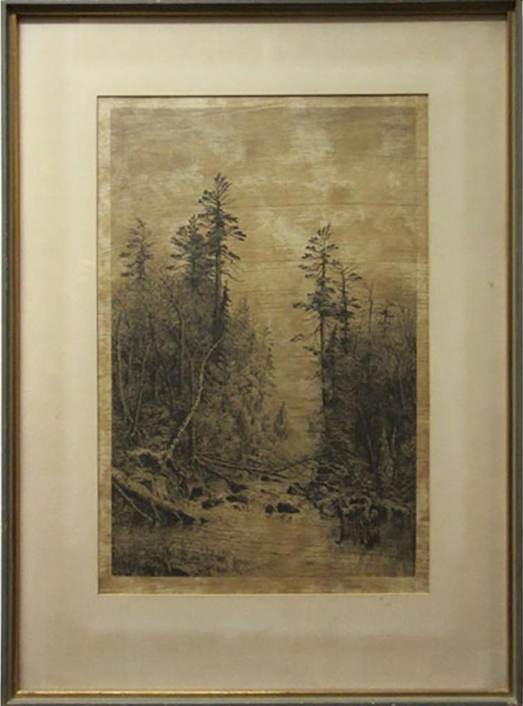 Thomas Mower Martin (1838-1934) - Deer Watering In A Forest Stream