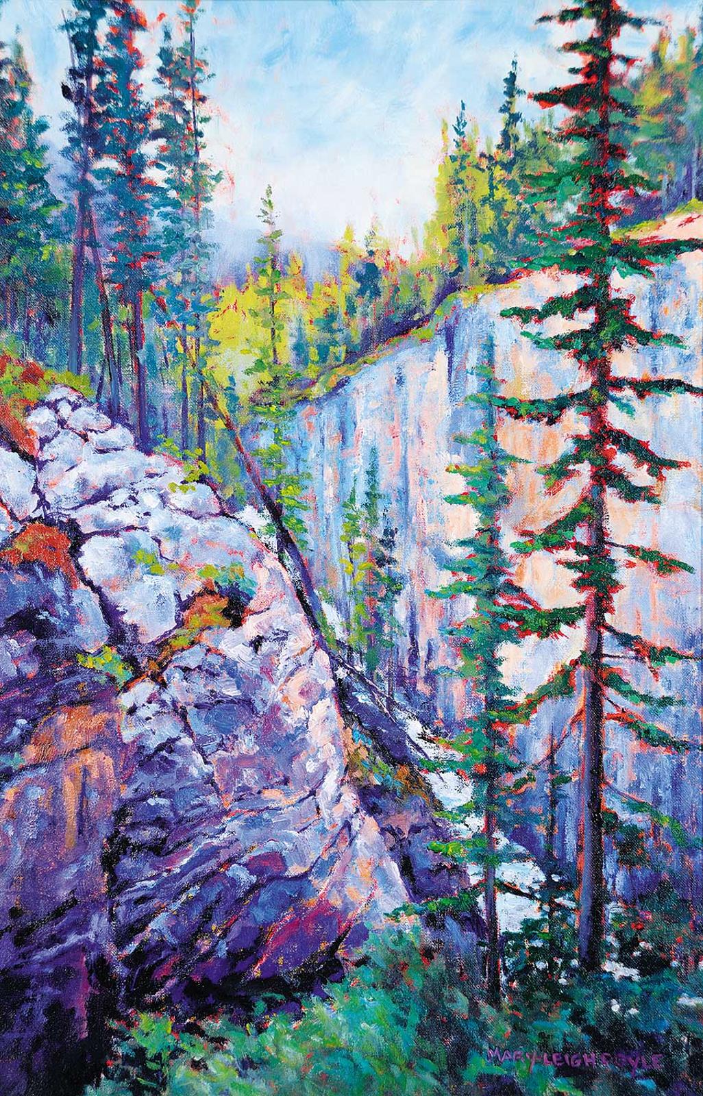 Mary-Leigh Doyle - Canyon Wall