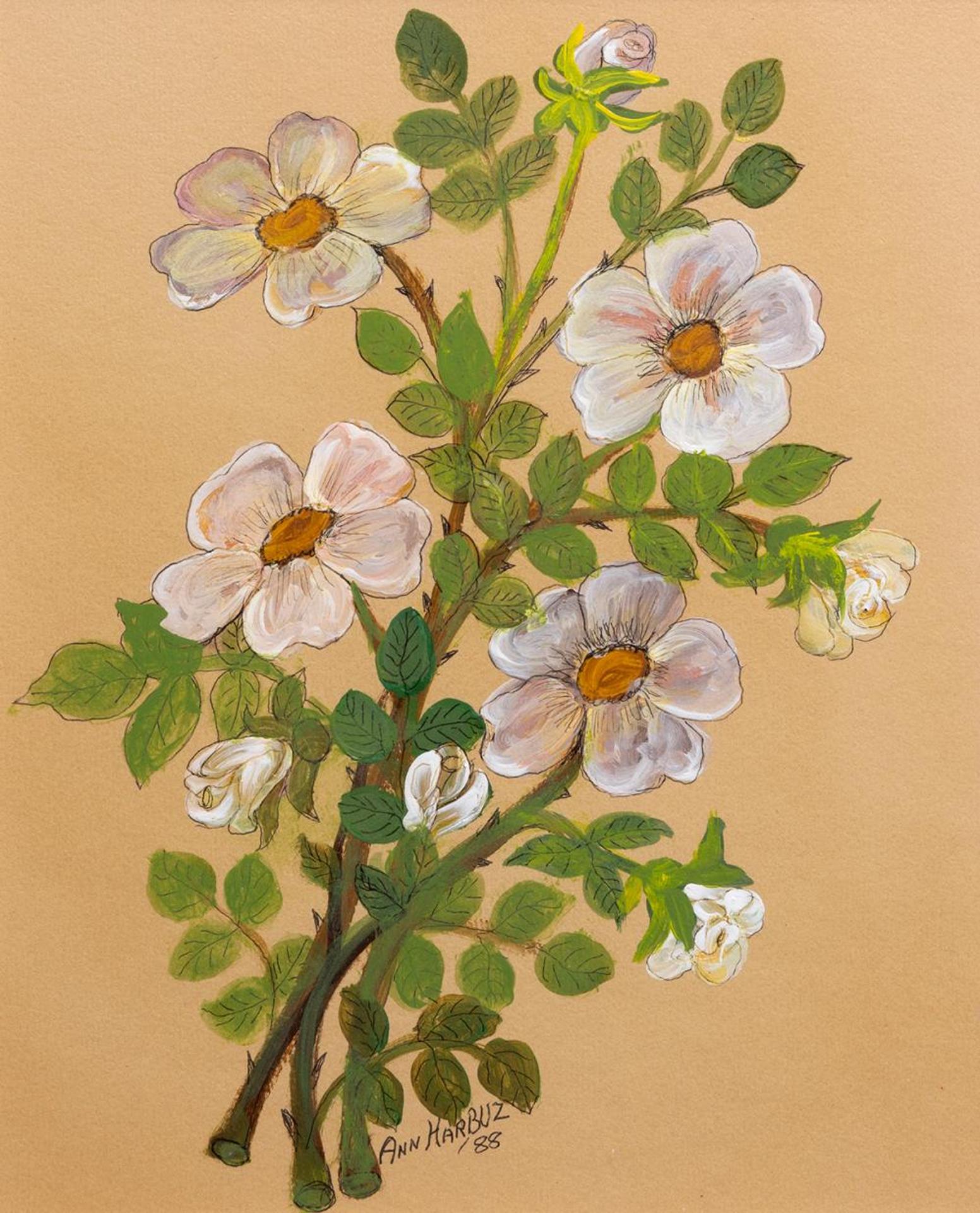 Ann Alexandra Harbuz (1908-1989) - Primroses