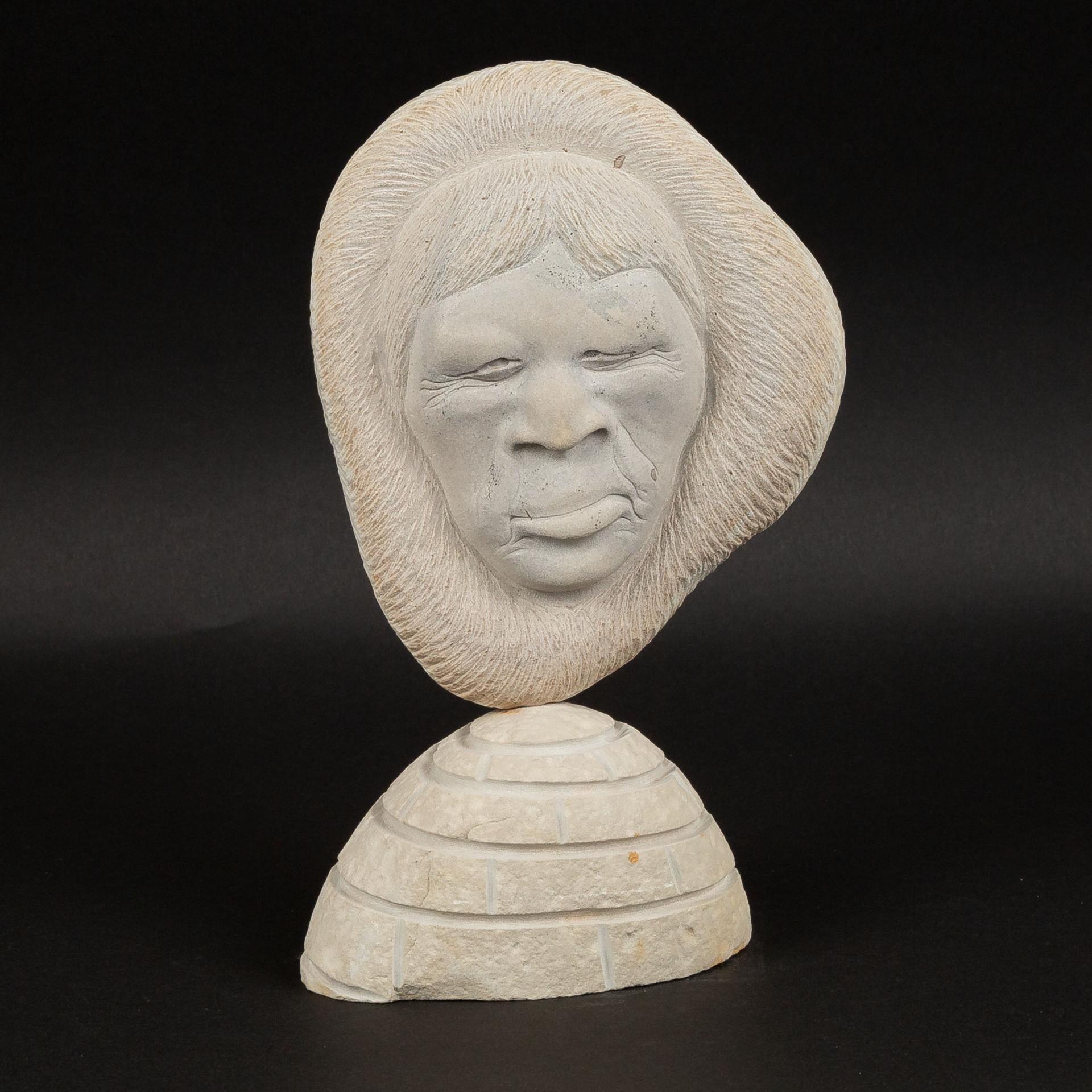 Joseph Suslaq - White Face On Igloo