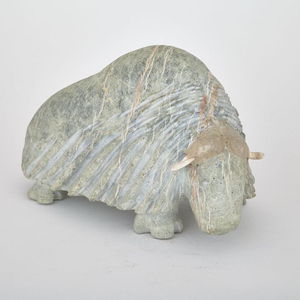 Billy Merkosak - Musk Ox
