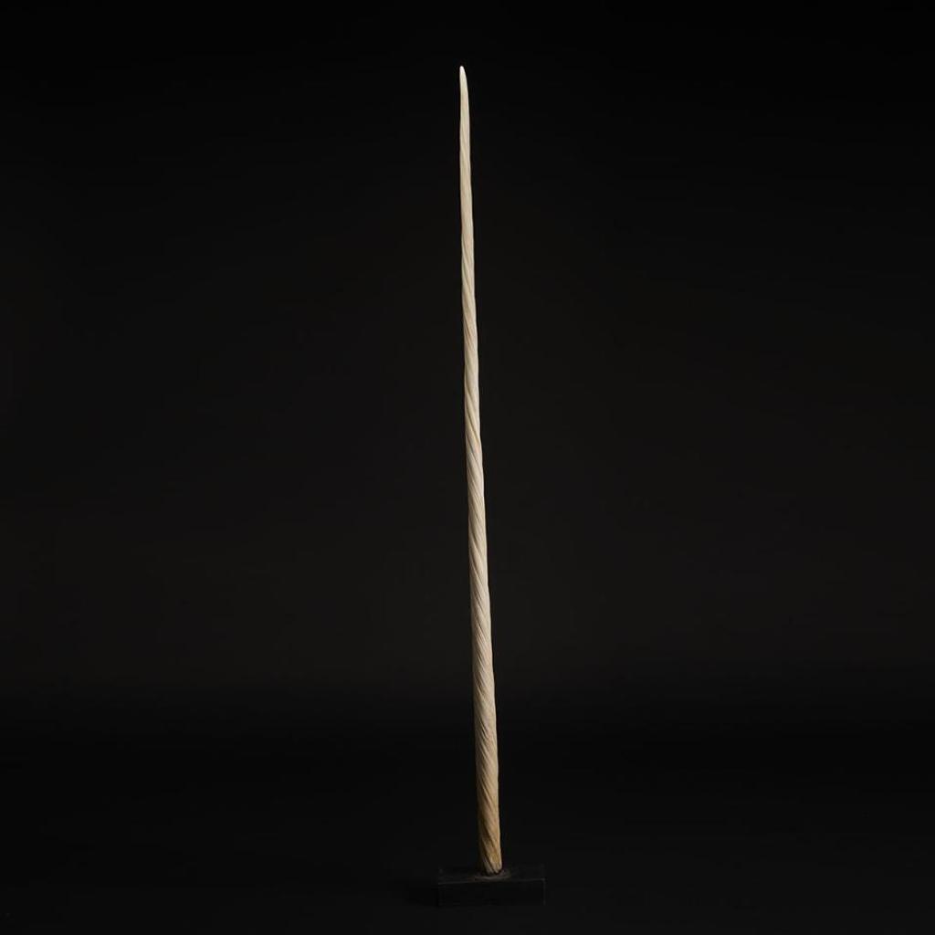 Narwhal Tusk - ivory