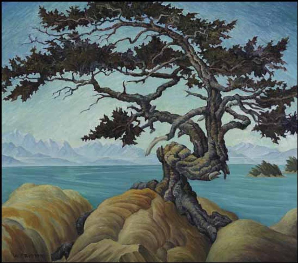 William Percival (W.P.) Weston (1879-1967) - Windswept Fir