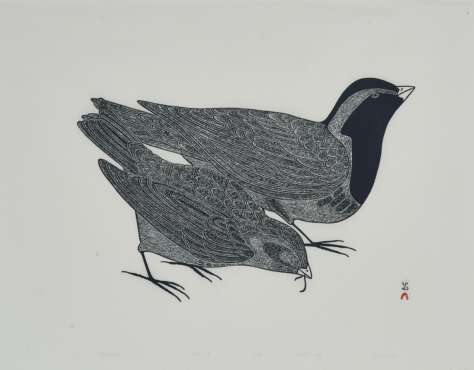 Pootoogook Kanaginak - Kupanuaq