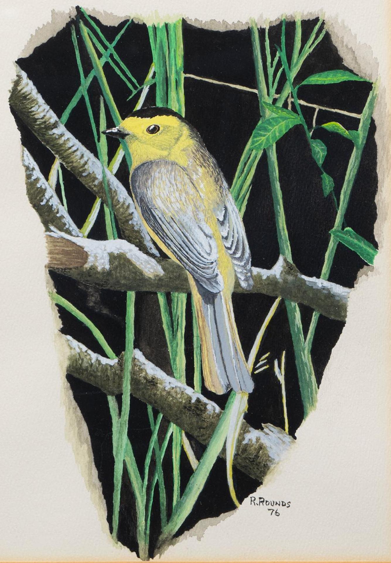 R. Rounds - Untitled - Oriole