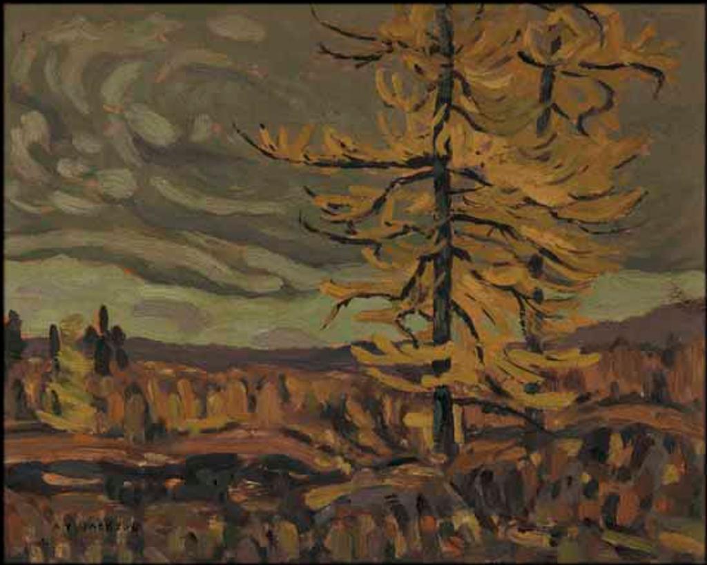 Alexander Young (A. Y.) Jackson (1882-1974) - Tamarack, Algoma