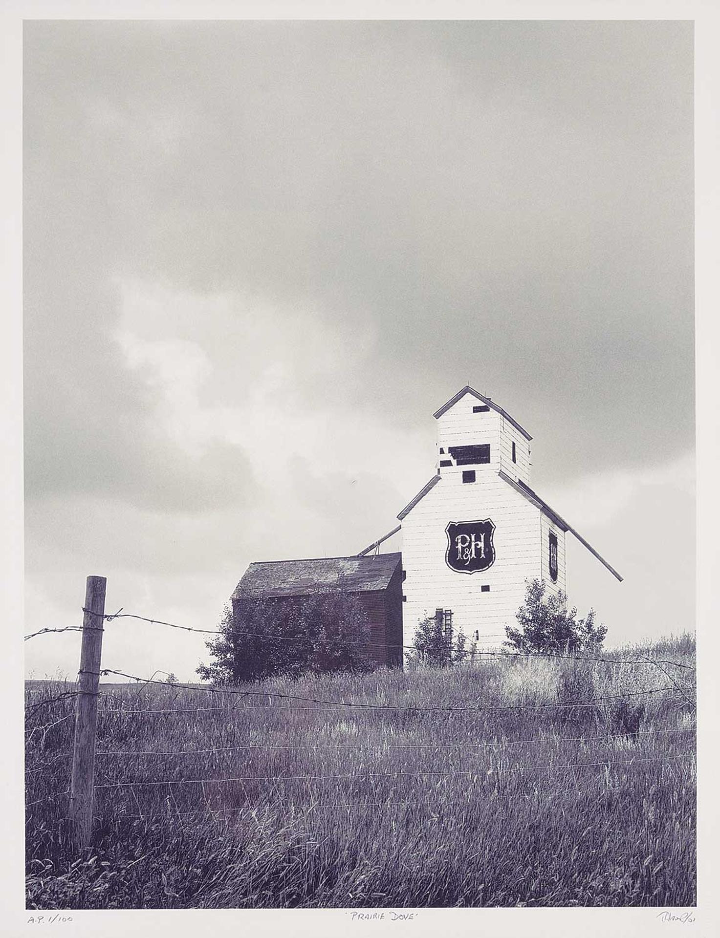 Tom Hamp - Prairie Dove AP #1/100