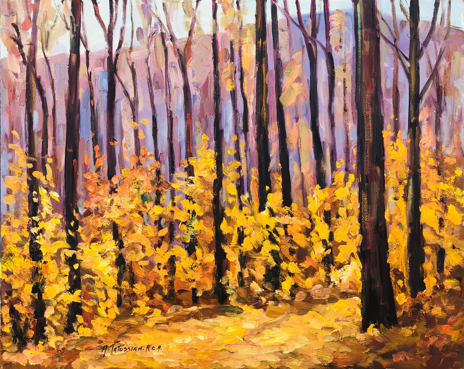 Armand Tatossian (1948-2012) - Paysage jaune boisé, n.d.