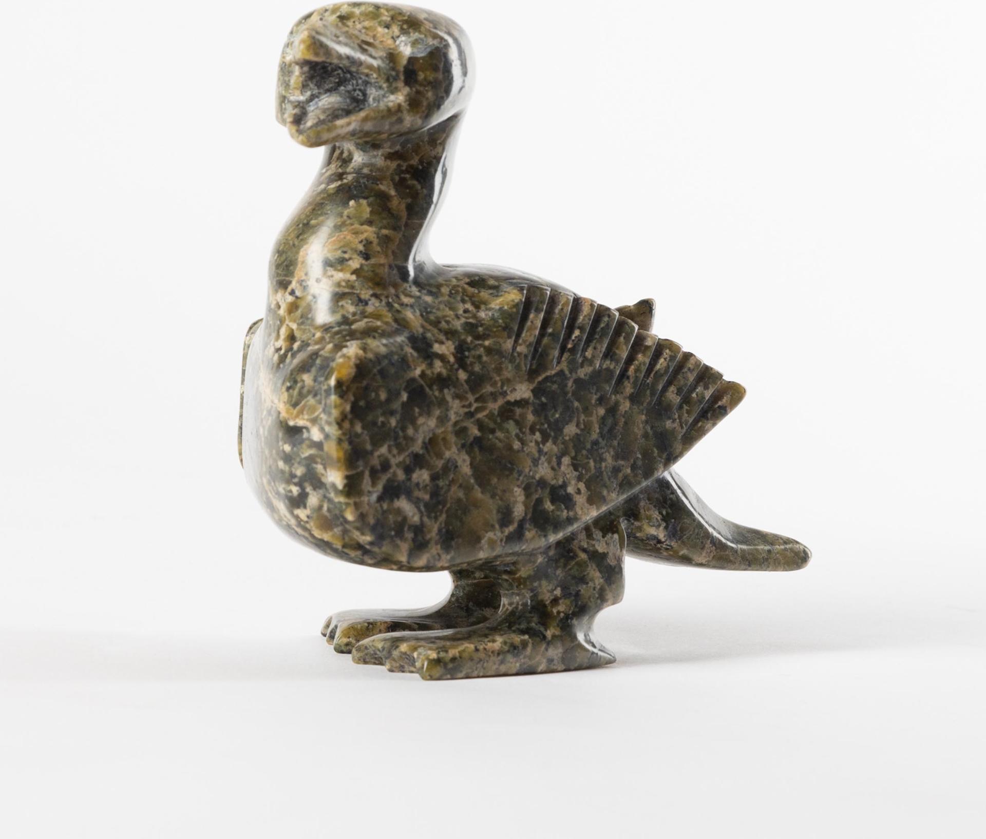 Napachie Sharky (1971-2018) - Bird