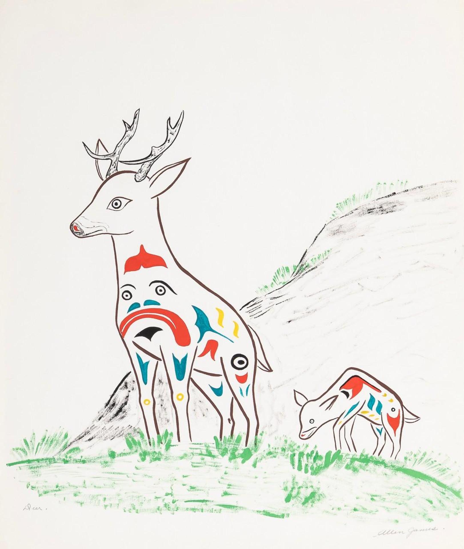 Allen James - Deer