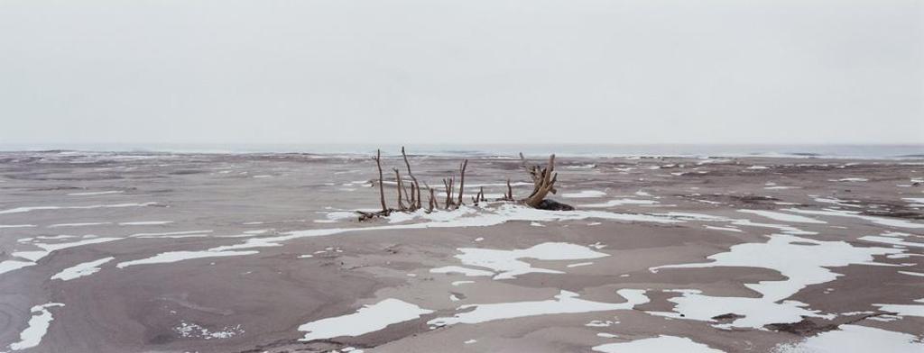 Thaddeus Holownia (1949) - Sable Island, 1985-1994 #2