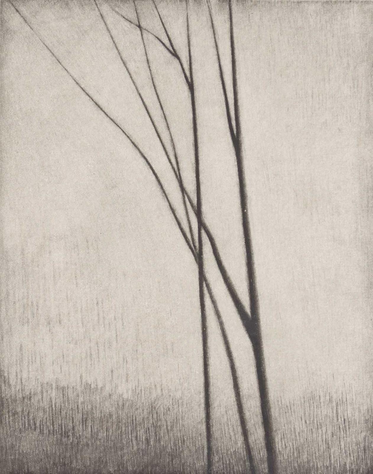 Robert Kipniss - Without World #Artist Proof