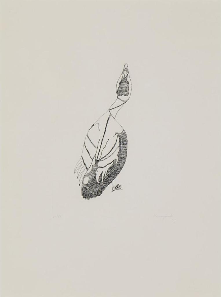 Kananginak Pootoogook (1935-2010) - Eider Duck