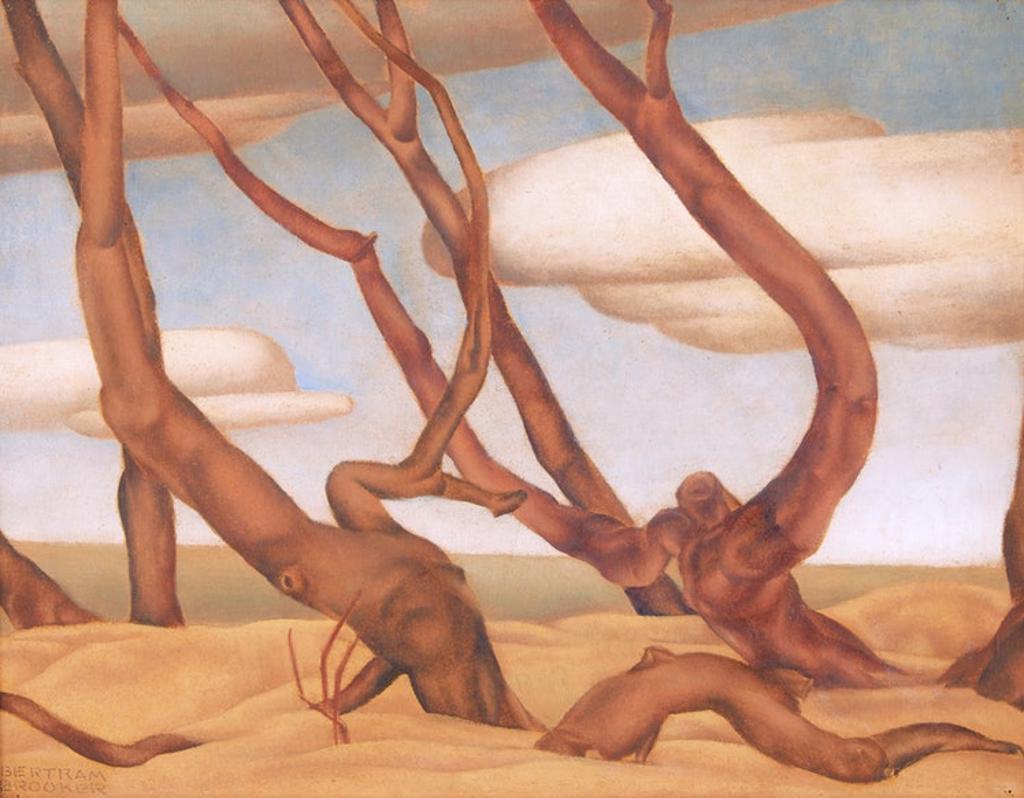 Bertram Richard Brooker (1888-1955) - Tree Trunks