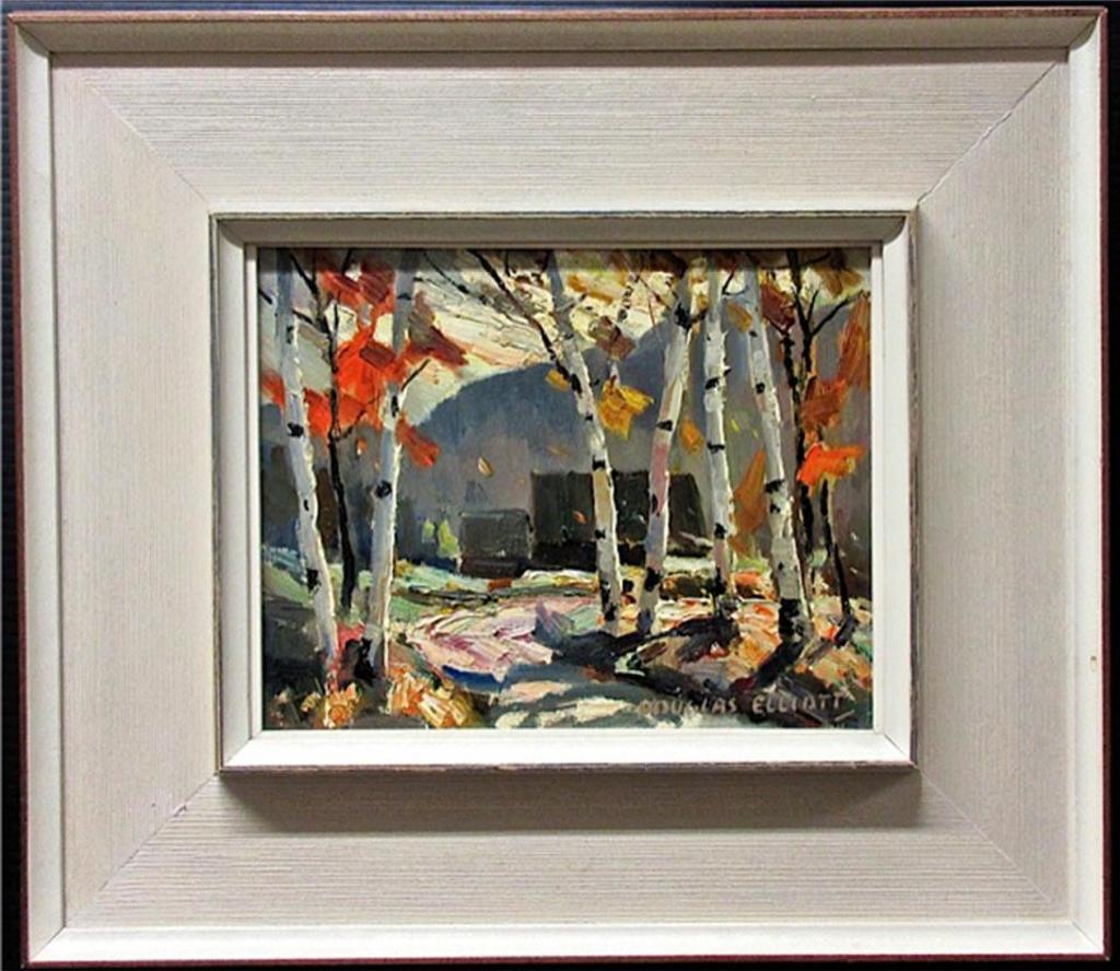 Douglas Ferfguson Elliott (1916-2012) - High Level Birches, October