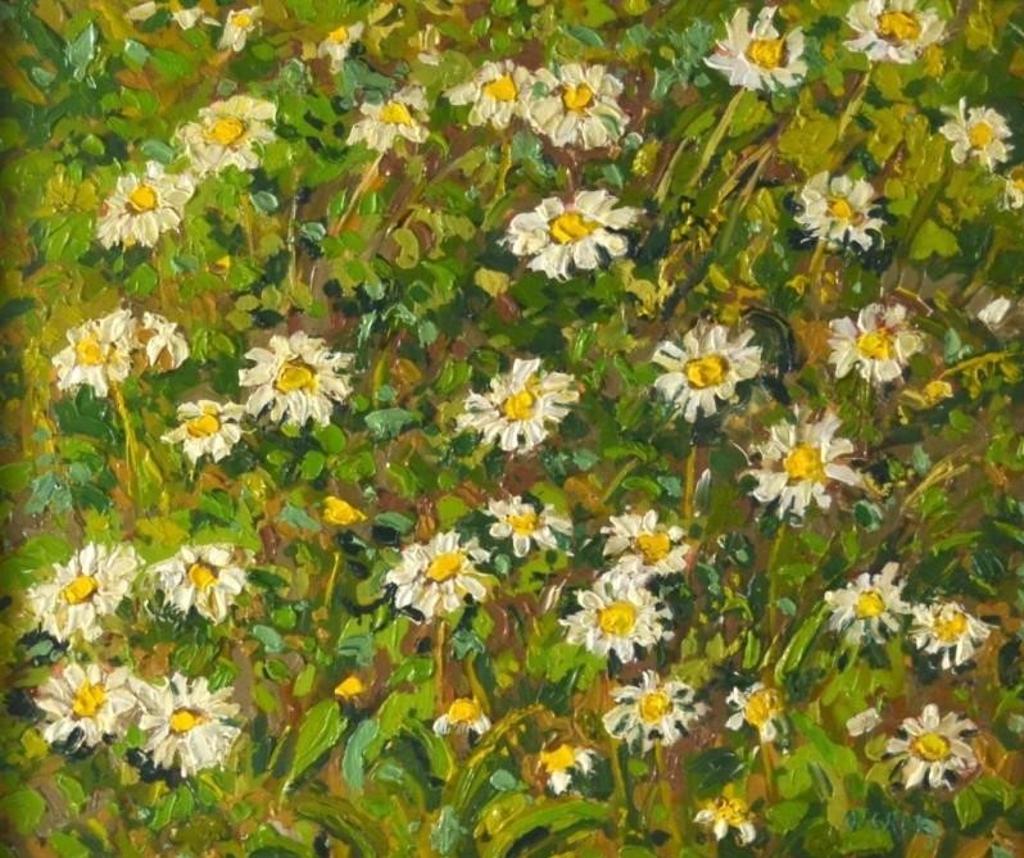 Lawrence Nickle (1931-2014) - Pastured Daises, Parry Sound