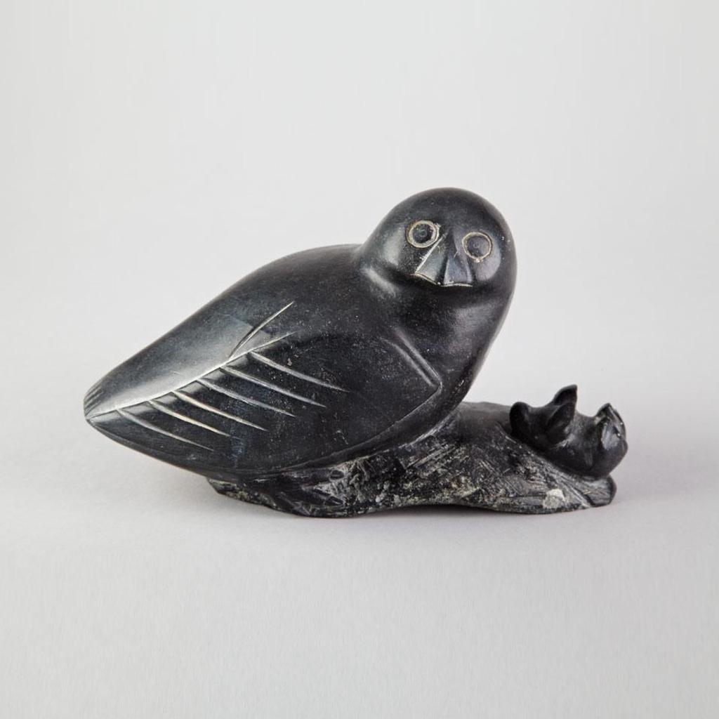 Peter Nowra (1929-1994) - Owl With Small Seal