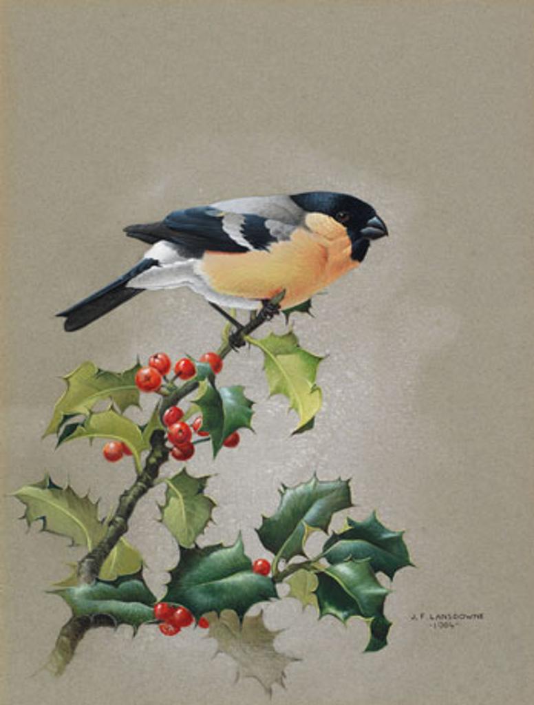 James Fenwick Lansdowne (1937-2008) - Bullfinch