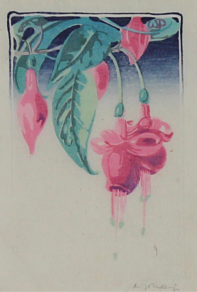 Walter Joseph (W.J.) Phillips (1884-1963) - Fuchsia; 1927