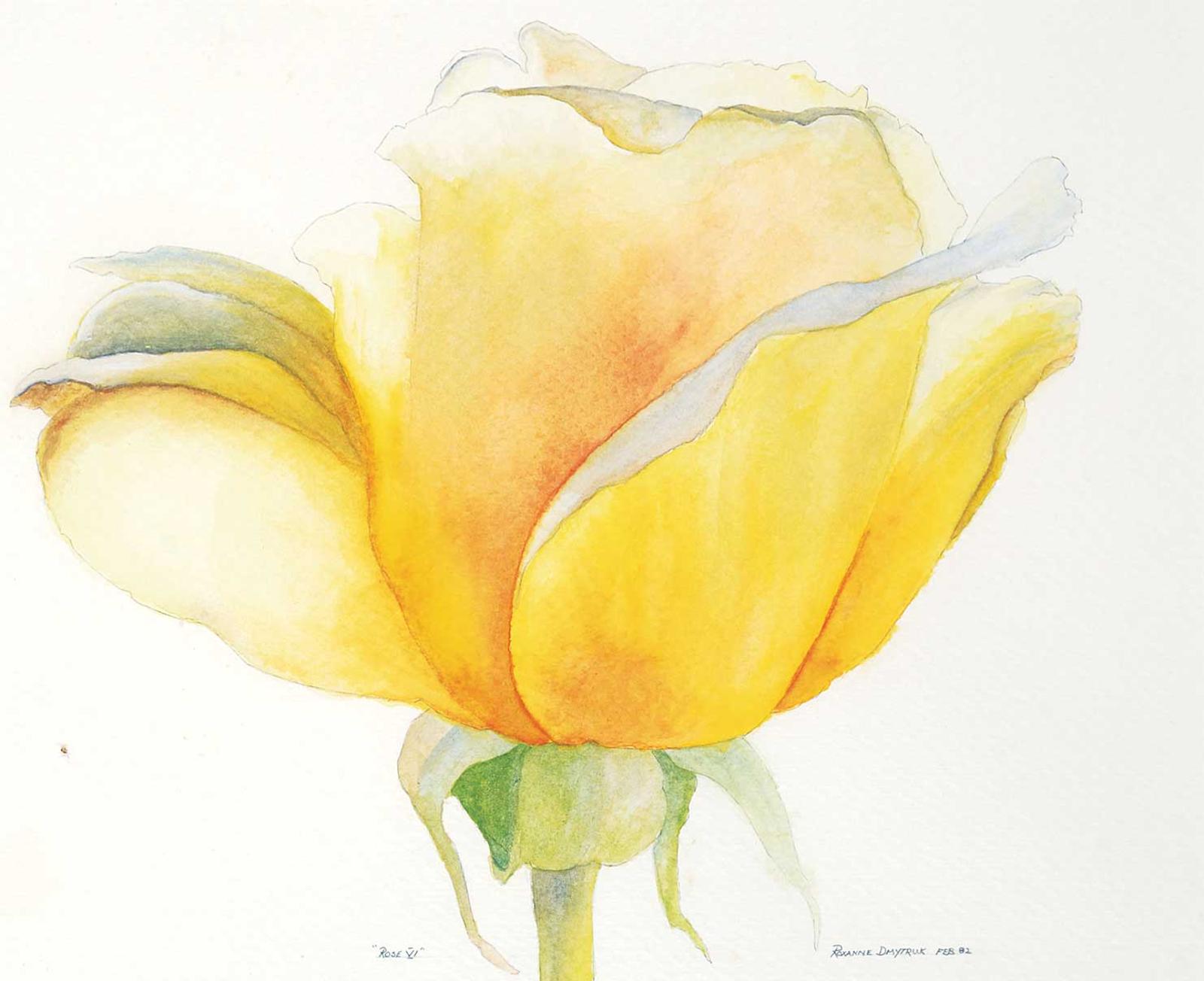 Roxanne Dmytruk - Rose VI