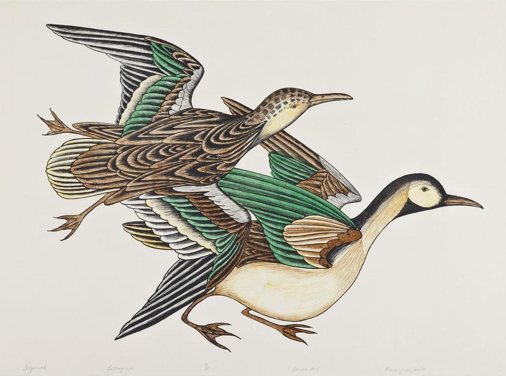 Kananginak Pootoogook (1935-2010) - Sitjariak