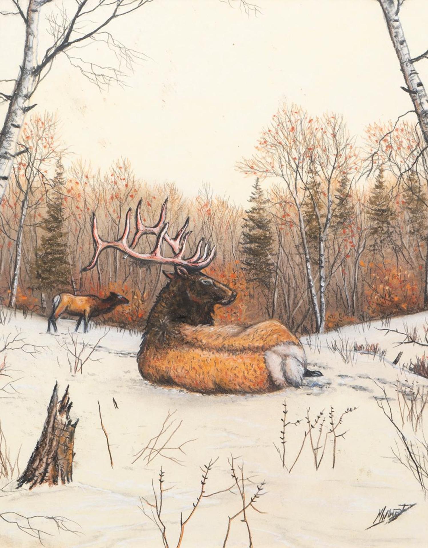 Bob Millard (1947-2014) - Untitled - Elk